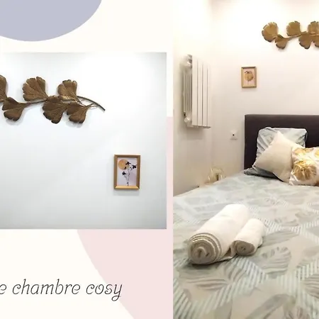 Apartment Le Petit Suc Du Puy En Velay , Hyper Centre ,calme ,parking Proche Le Puy-en-Velay